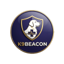 K9 Beacon